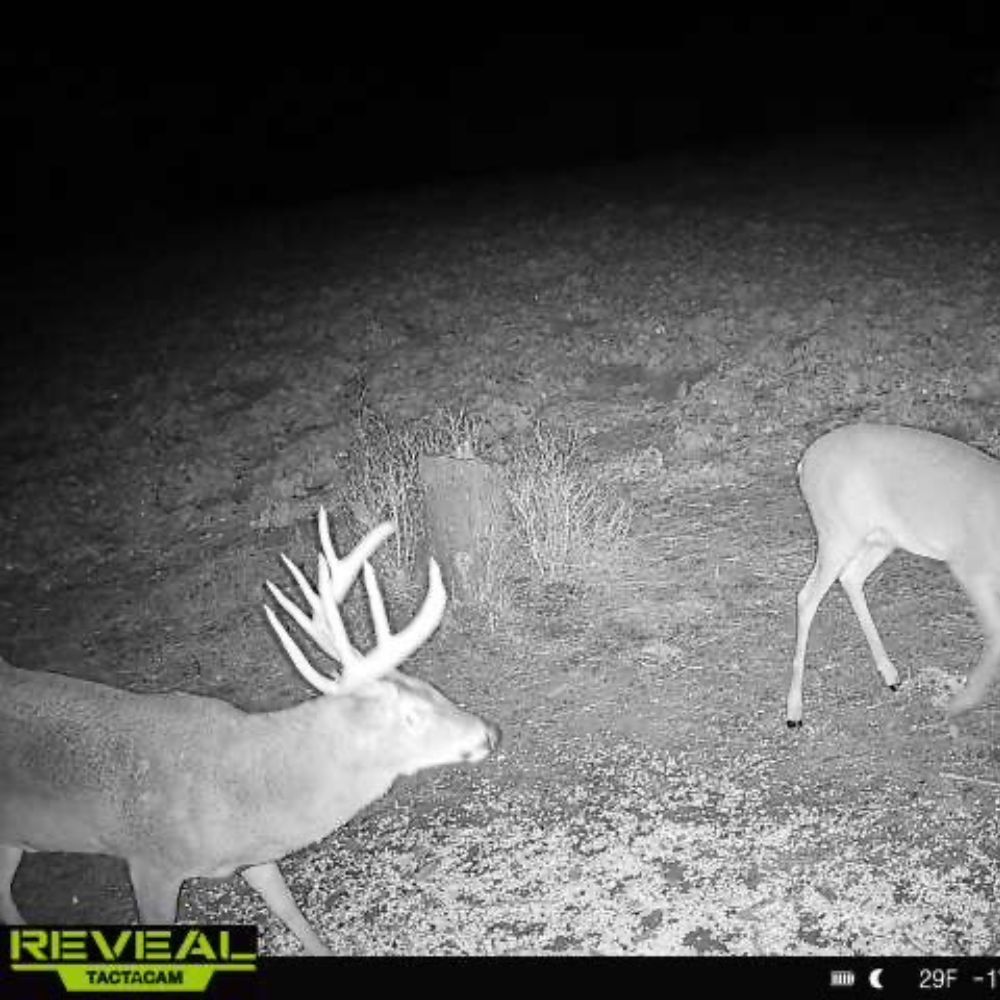 Untitled design (5)